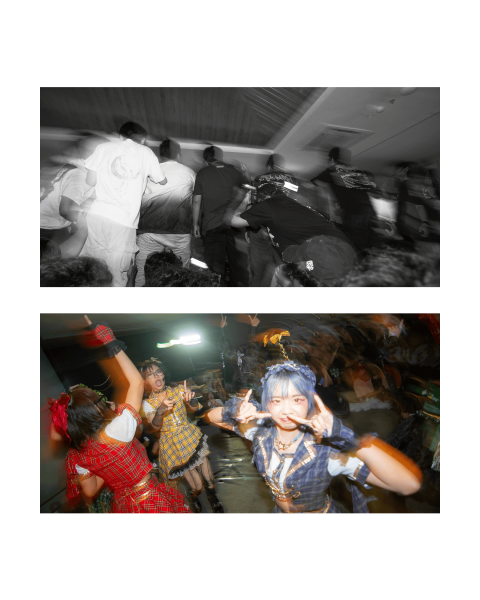Feed 1 - 14